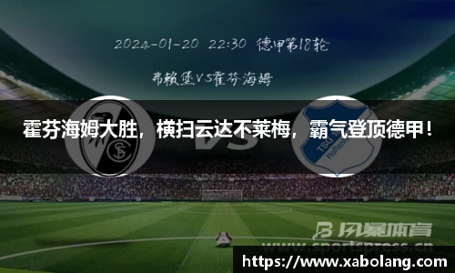 霍芬海姆大胜，横扫云达不莱梅，霸气登顶德甲！